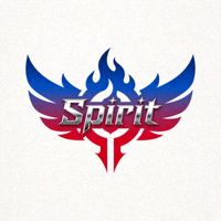 Spirit 战队队徽形象图